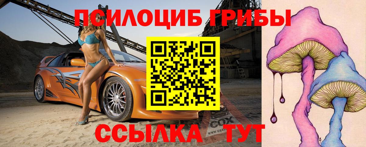 Ачхой-Мартан  Галлюциногенные грибы GOLDEN TEACHER  Вход с VPN 