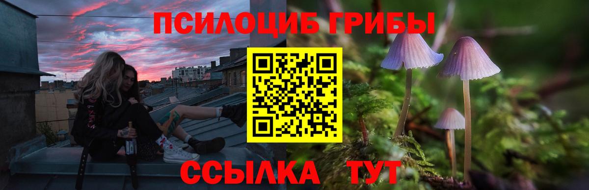 Галлюциногенные грибы ЛСД Ачхой-Мартан